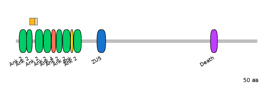 GgaEX0004069-EXC