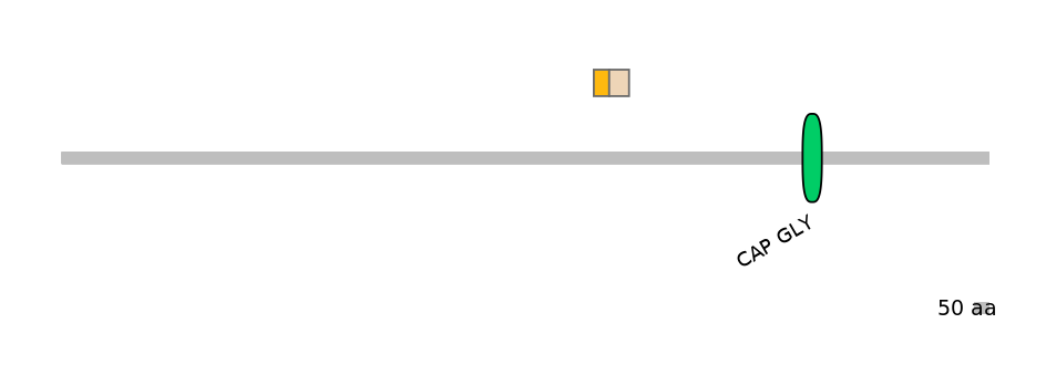 GgaEX0005282-EXC