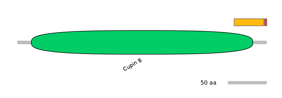 GgaEX0005615-INC