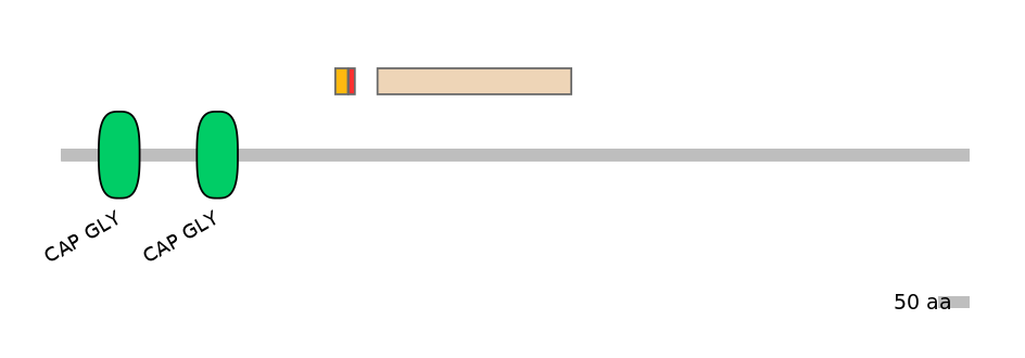GgaEX0006007-INC