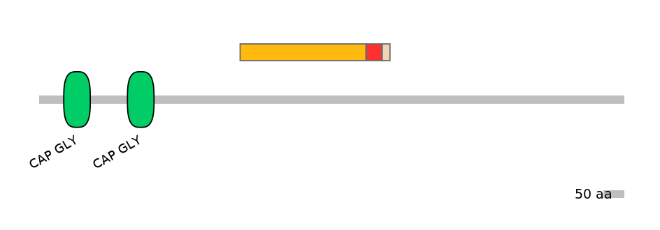 GgaEX0006009-INC