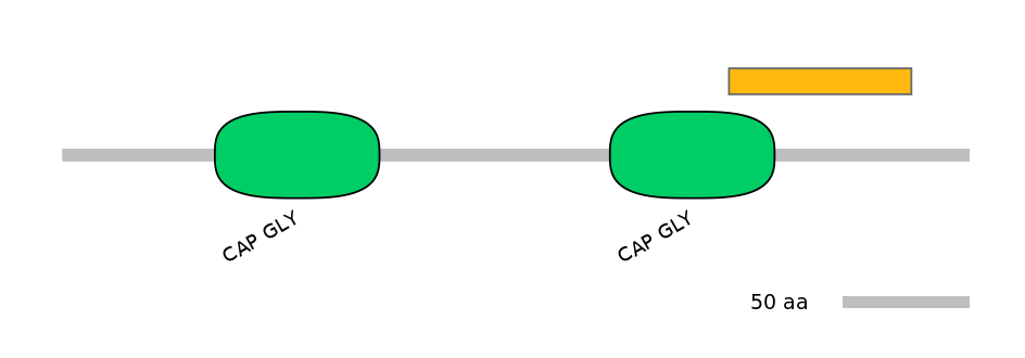 GgaEX0006012-EXC