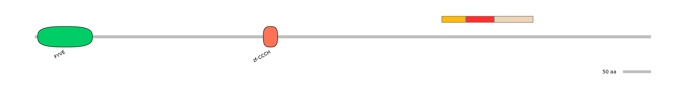 GgaEX0006196-INC
