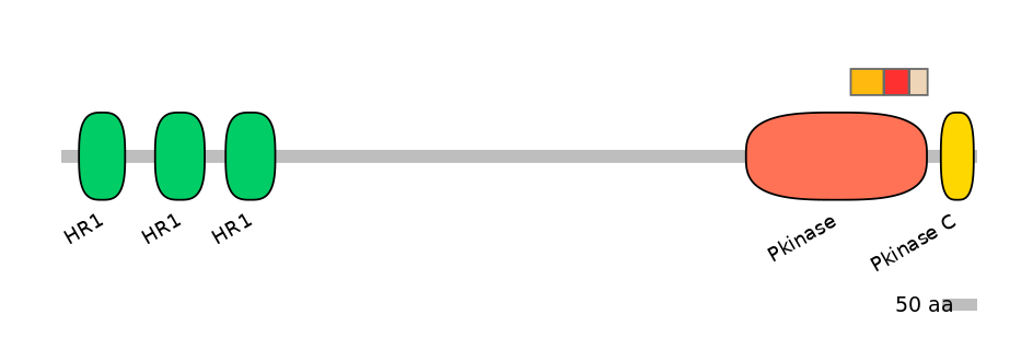 GgaEX0006436-INC