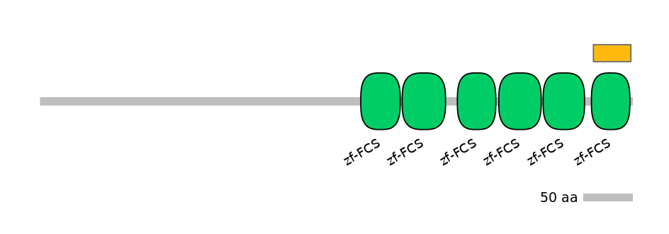 GgaEX0007714-EXC