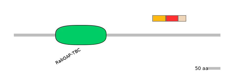 GgaEX0008392-INC