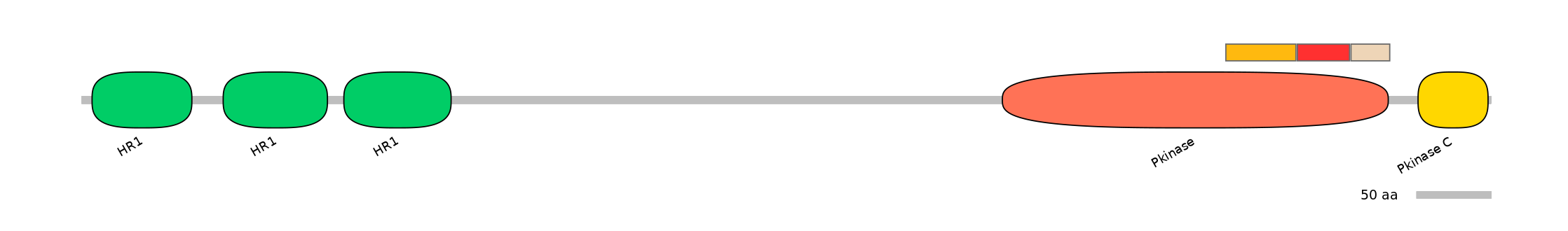 GgaEX0008904-INC