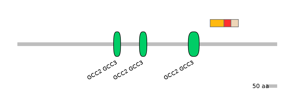 GgaEX0009423-INC