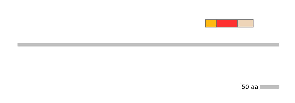 GgaEX0009701-INC