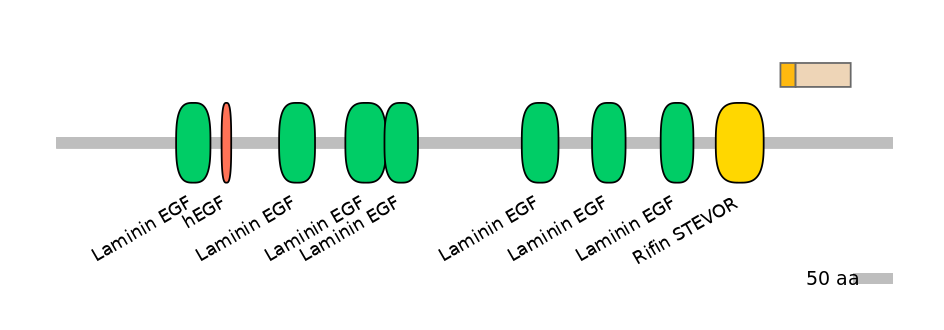 GgaEX0010828-EXC