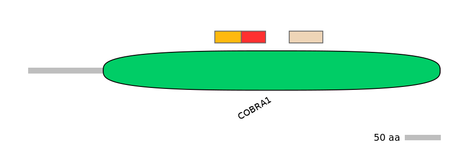 GgaEX0012467-INC