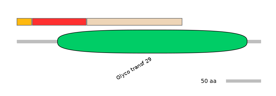 GgaEX0013239-INC
