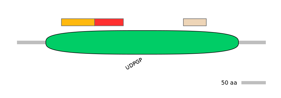 GgaEX0013357-INC