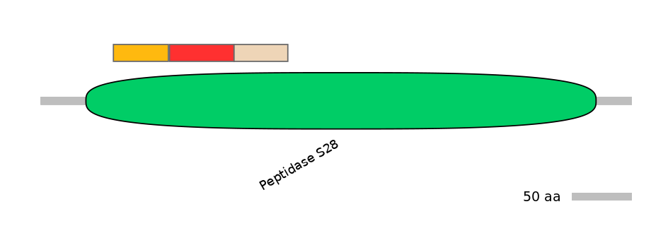 GgaEX0013386-INC