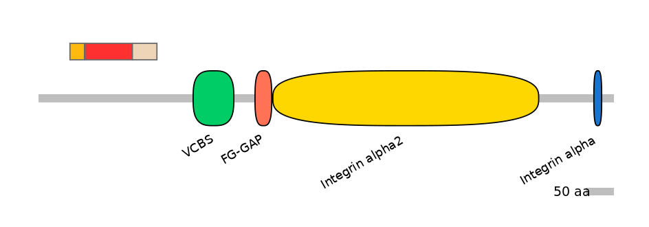 GgaEX0013767-INC