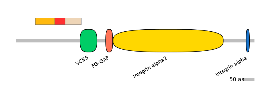 GgaEX0013771-INC