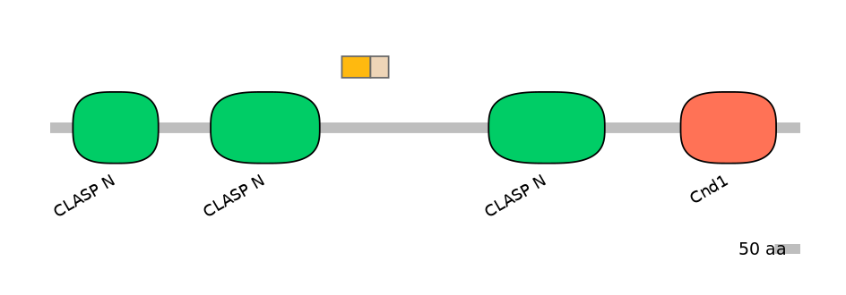 GgaEX0017559-EXC