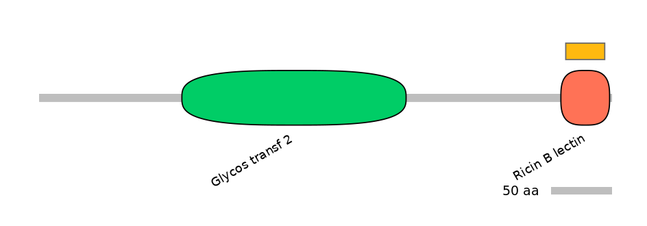 GgaEX0018938-EXC