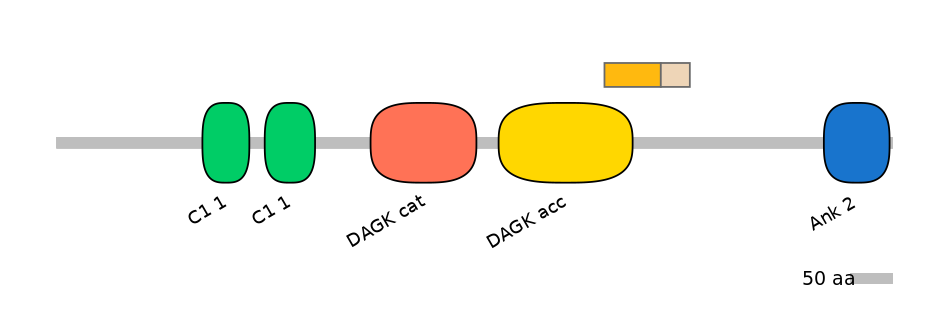 GgaEX0019480-EXC