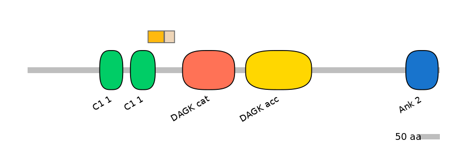 GgaEX0019483-EXC