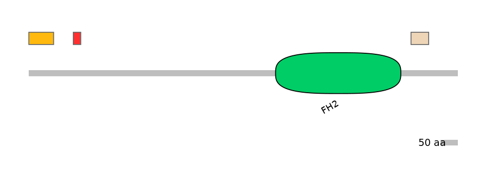GgaEX0027165-INC