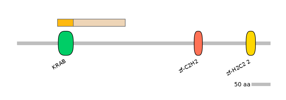 GgaEX0028409-EXC