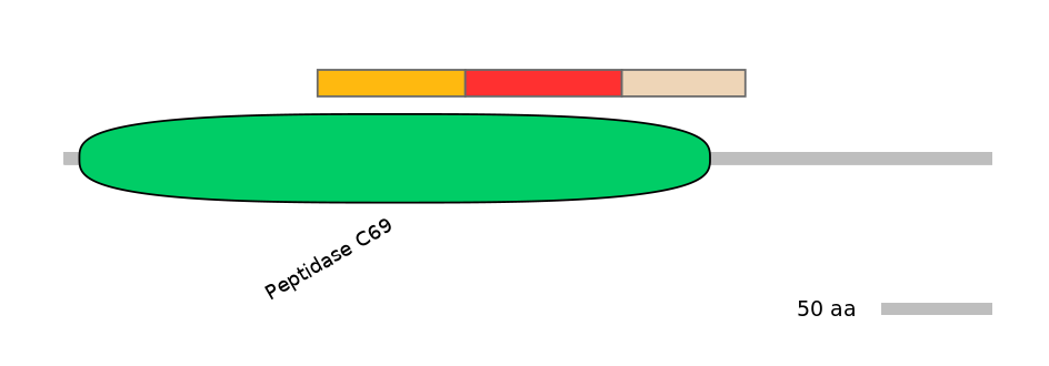 GgaEX0028856-INC