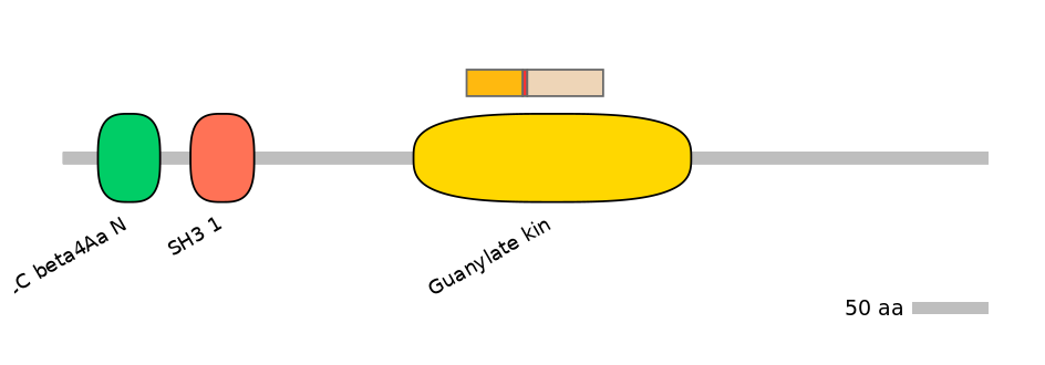 GgaEX0029123-INC