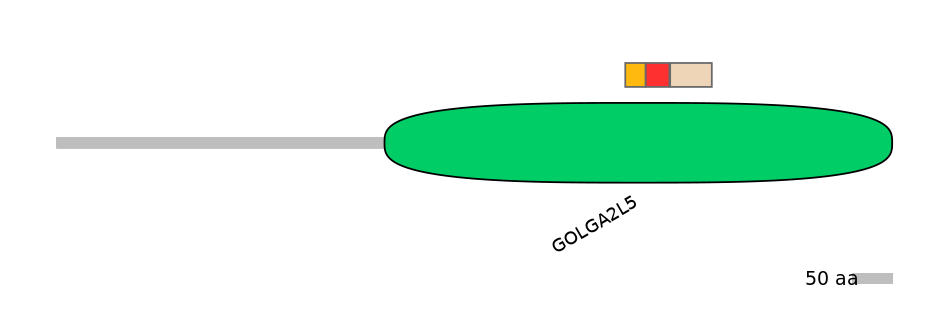 GgaEX1001071-INC