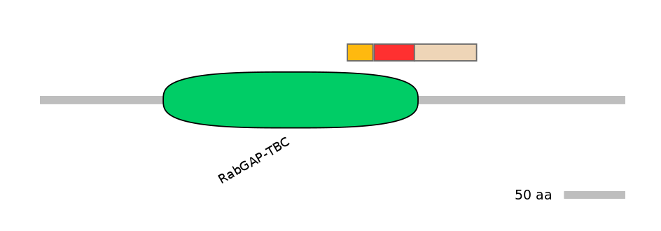 GgaEX1001669-INC