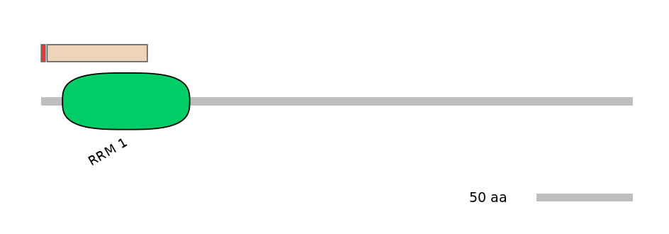 GgaEX1002585-INC