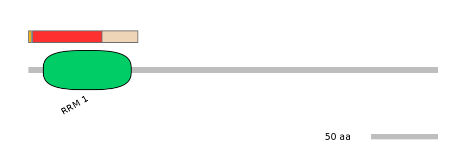GgaEX1002586-INC