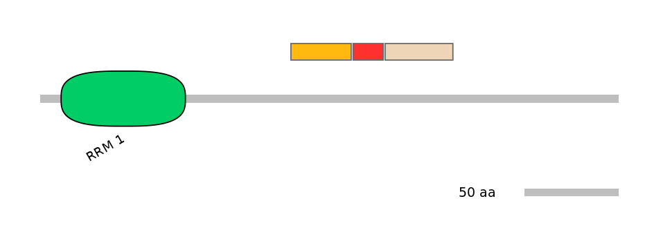 GgaEX1002587-INC