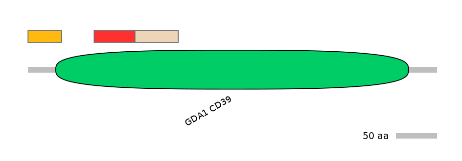 GgaEX1004116-INC