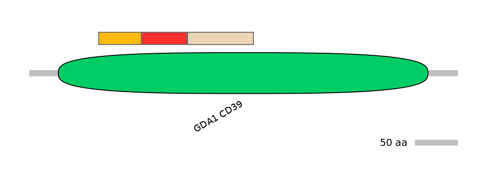 GgaEX1004117-INC