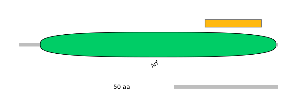 GgaEX1009084-EXC