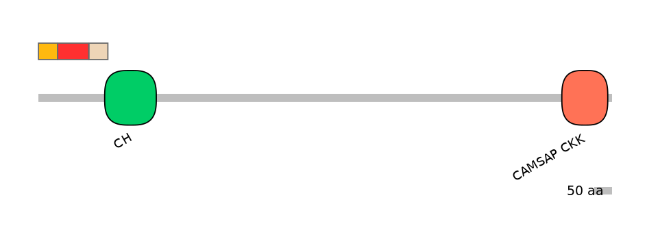 GgaEX1012717-INC