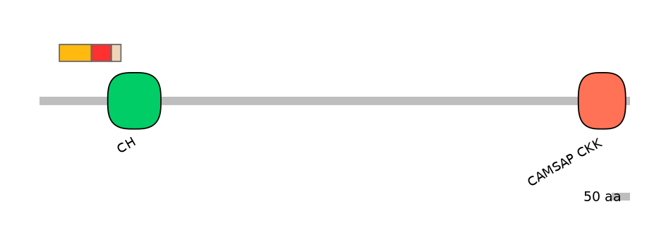 GgaEX1012719-INC