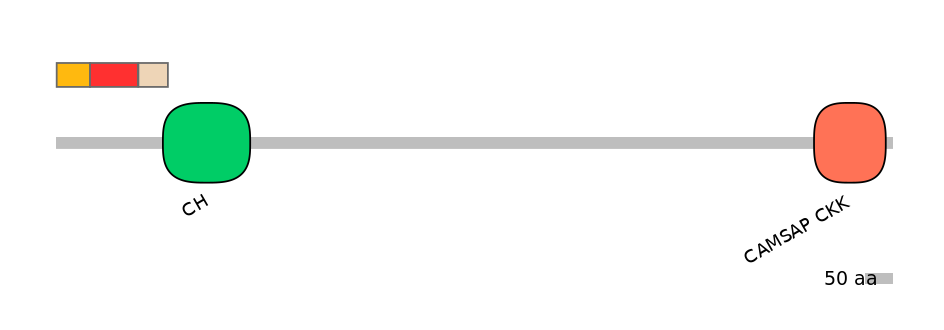 GgaEX1012725-INC