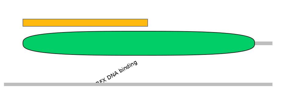 GgaEX1020775-EXC