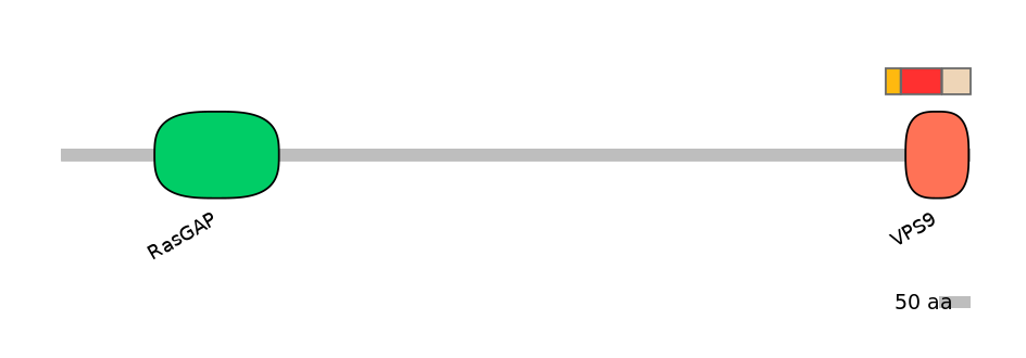 GgaEX1026085-INC