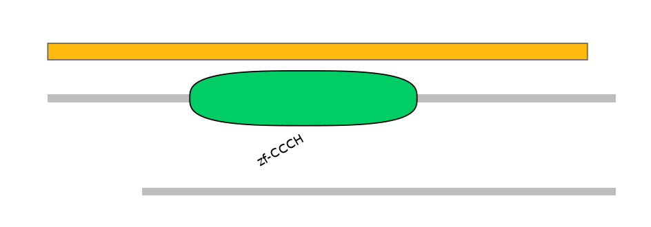 GgaEX1035315-EXC
