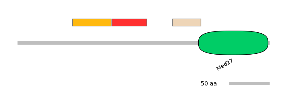 GgaEX1035816-INC