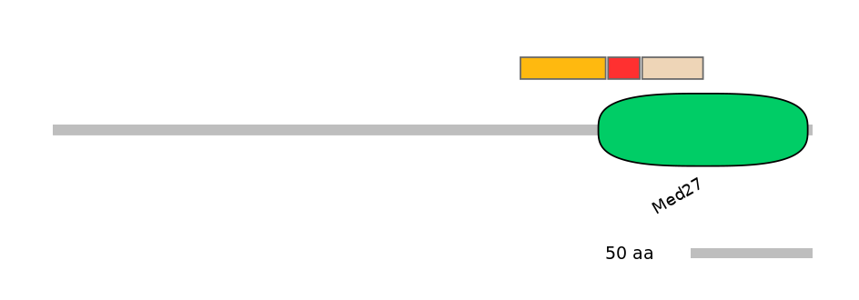 GgaEX1035817-INC