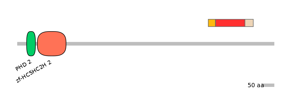 GgaEX1036484-INC