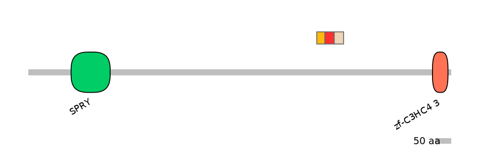 GgaEX1049586-INC