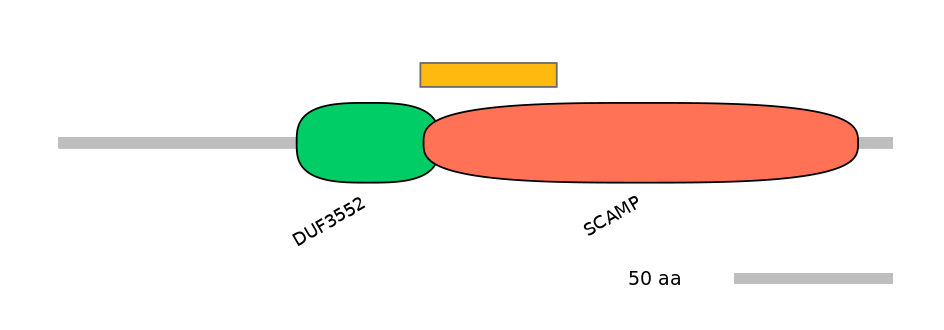 GgaEX1051010-EXC
