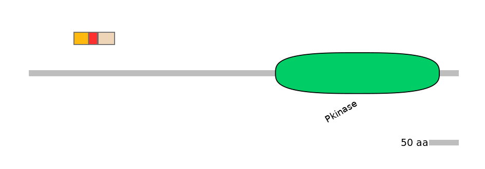 GgaEX1058689-INC