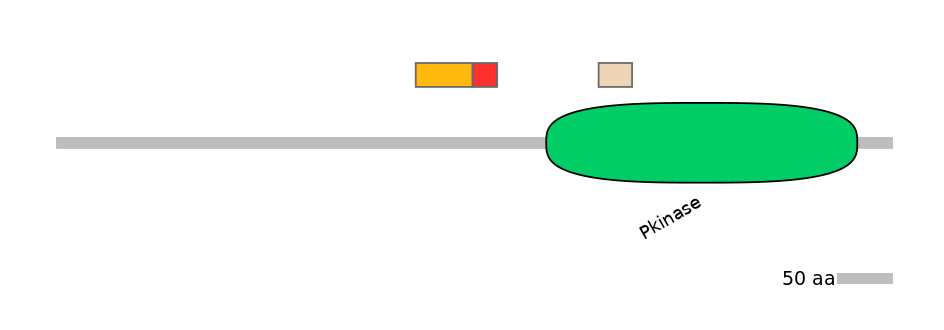 GgaEX1058717-INC