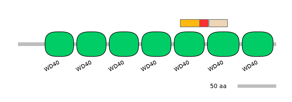 GgaEX1063980-INC